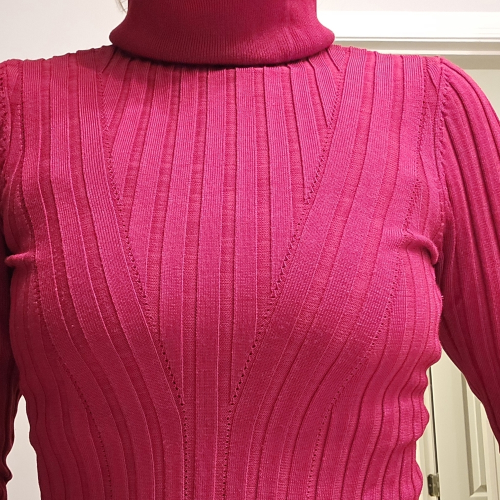 White House Black Market Rich Red Turtleneck Sweater